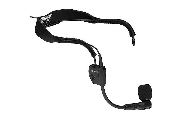 2 - Shure WH30
